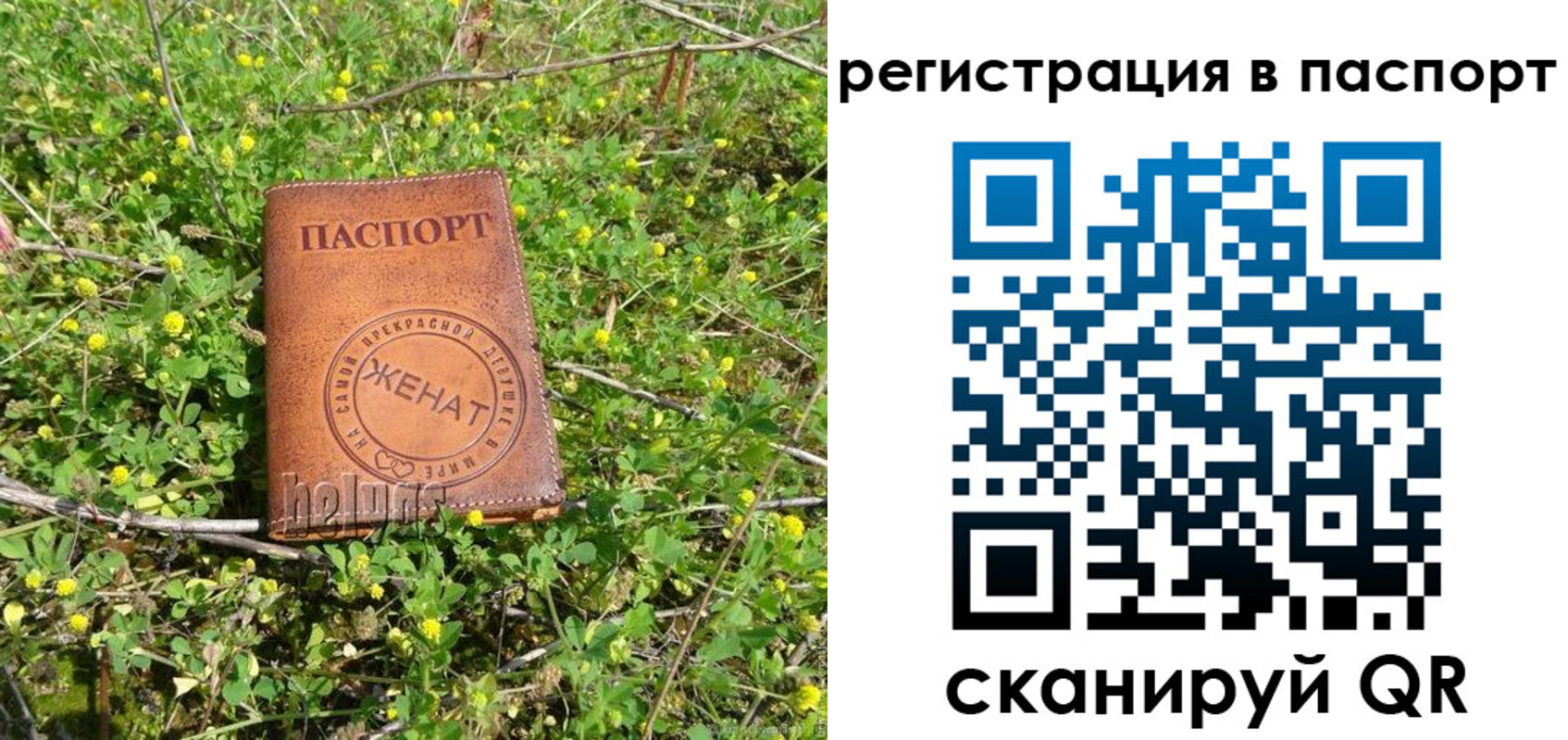 прописка законно в Костроме
